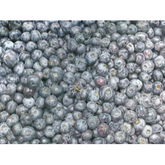 Blueberries Art Realism Still Life