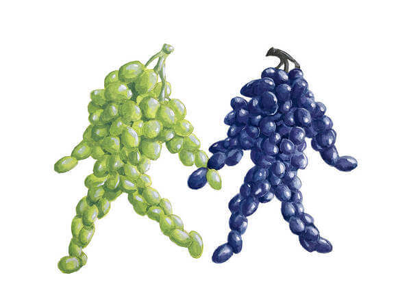 Illustration of grapes walking and holding hands