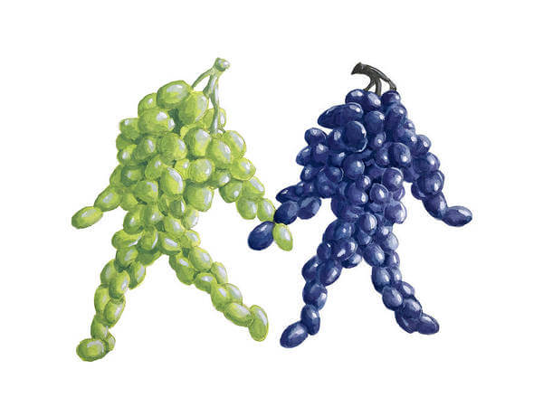 Grape Friends