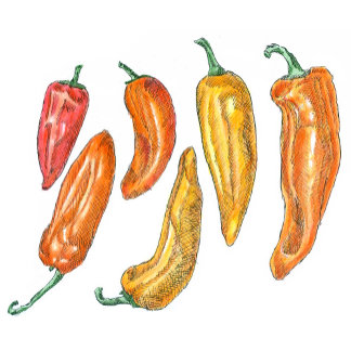 Peppers Illustration