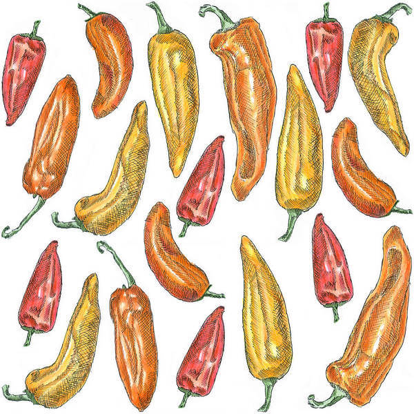 Sweet Peppers Illustration